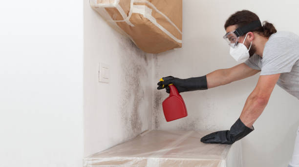 Professional Bathroom Mold Removal technician working in Mount Airy, NC