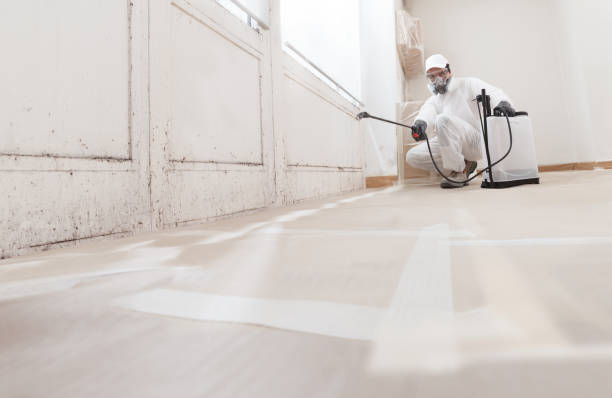 24/7 Emergency Bathroom Mold Removal experts in Mount Airy, NC